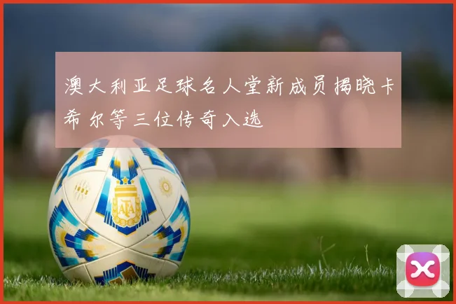 澳大利亚足球名人堂新成员揭晓卡希尔等三位传奇入选